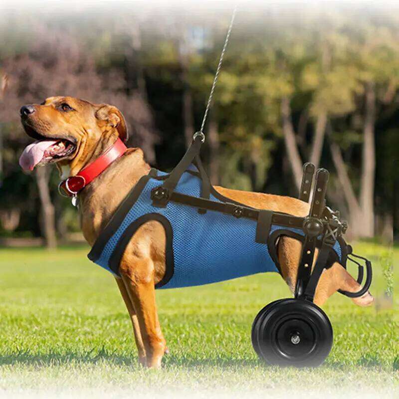 Pet Supplies Wheelchair Limb Paralysis Scooter Disabled Dog Hind Leg Assisted & Pet Rehabilitation Brace