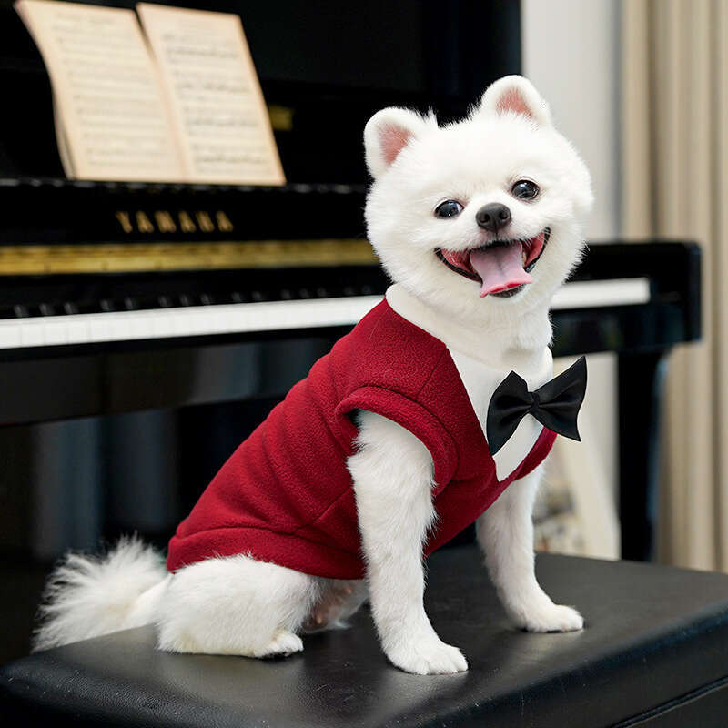 Famous brand Autumn Winter New Apparel Cat Pet Clothes Dog Supplies Cross Border Dropshipping Suit Dress Teddy French Bulldog pupakaIK