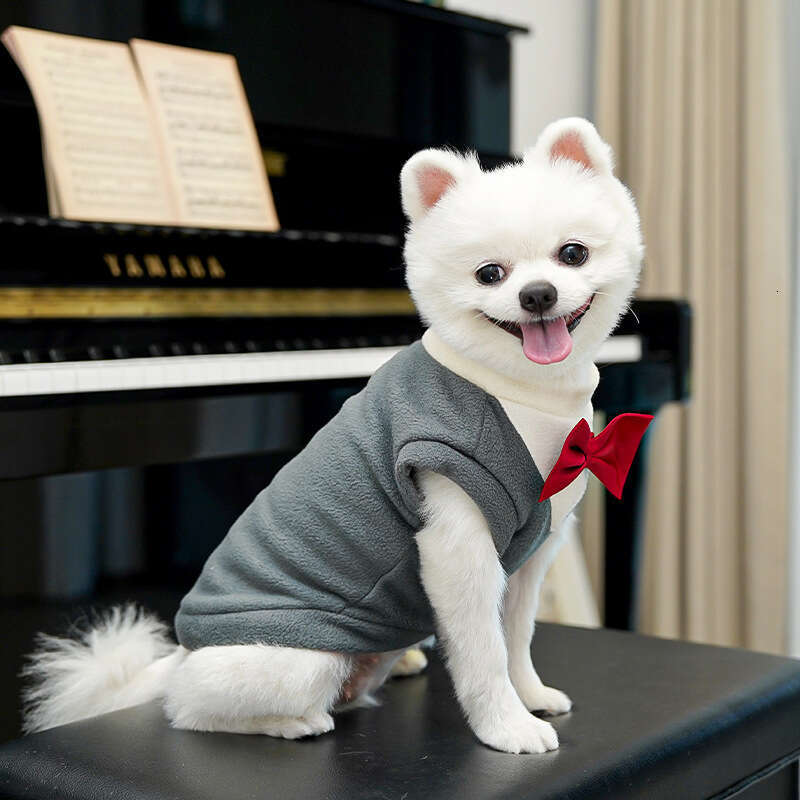 Famous brand Autumn Winter New Apparel Cat Pet Clothes Dog Supplies Cross Border Dropshipping Suit Dress Teddy French Bulldog pupakaIK