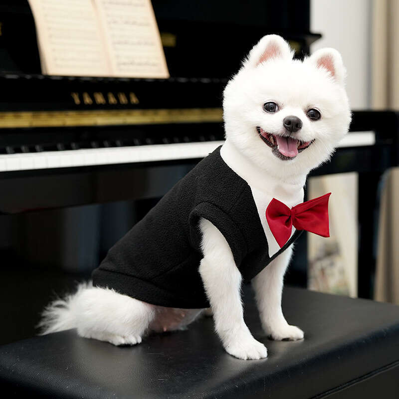 Famous brand Autumn Winter New Apparel Suit Pet Dress Cat Clothes Dog Supplies Cross Border Wholesale Teddy French Bulldog pupakaIK