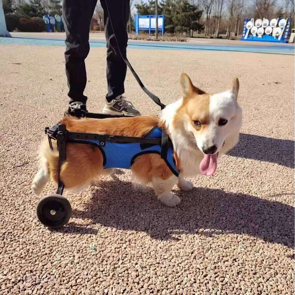 Pet Supplies Wheelchair Limb Paralysis Scooter Disabled Dog Hind Leg Assisted & Pet Rehabilitation Brace