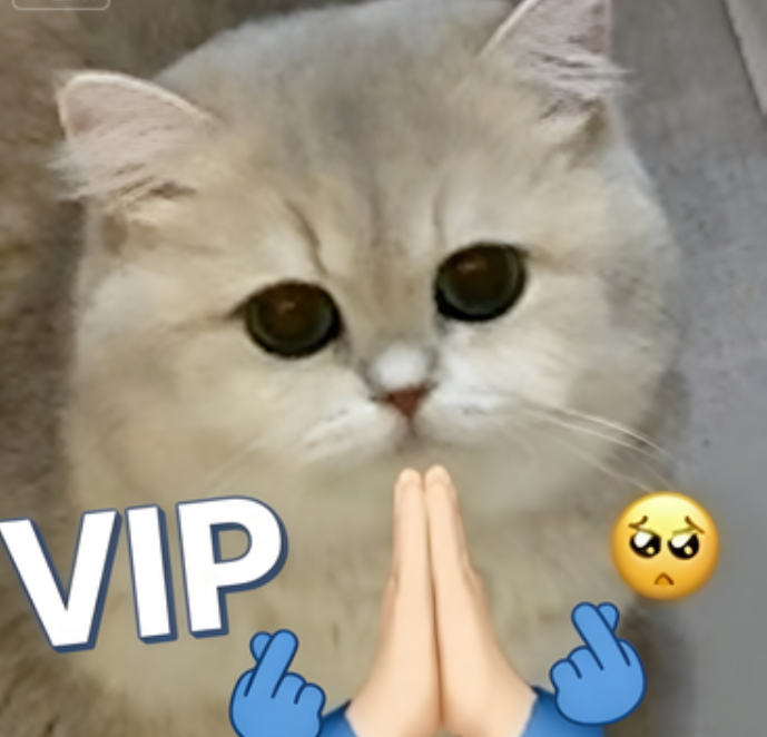 LHF-Cnblcgbags 18 VIP Exclusive Payment Portal Orders Balance Top-Up & Express Shipping VIP