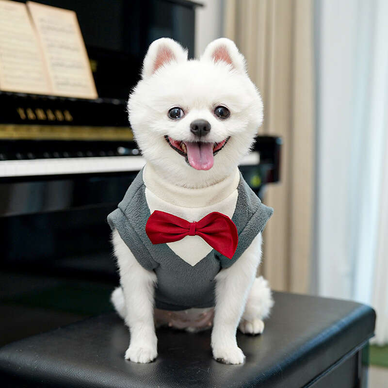 Famous brand Autumn Winter New Apparel Suit Pet Dress Cat Clothes Dog Supplies Cross Border Wholesale Teddy French Bulldog pupakaIK