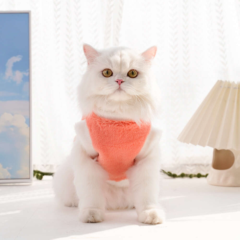 Famous brand Pet Cat Clothing Autumn Winter Flannel Embroidered Thickened Warm Clothes for Dogs and Cats Manufacturer Wholesale Dog Supplies pupakaIK