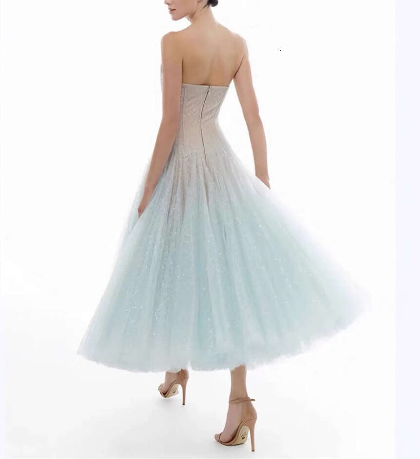 a3 2026 summer new niche design social princess sexy strapless solid color mesh long skirt for women