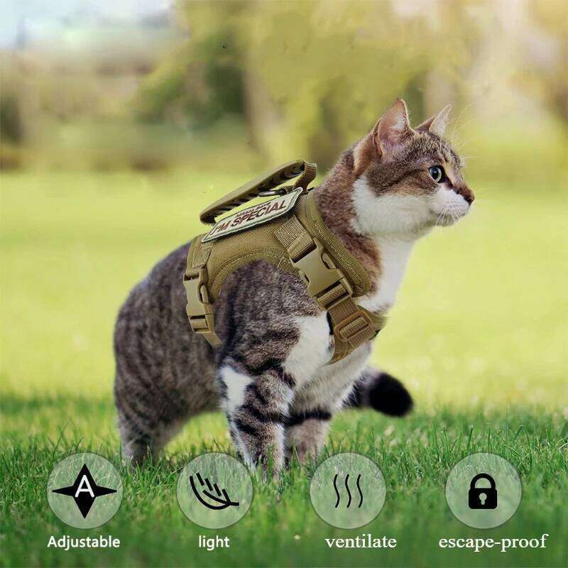 Pet Supplies Tactical Chest Harness Traction Rope To Prevent Detachment Adjustable Outdoor Cat Leash & for Small Pets