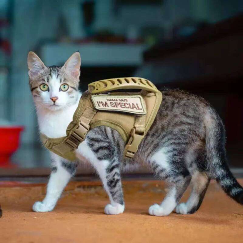 Pet Supplies Tactical Chest Harness Traction Rope To Prevent Detachment Adjustable Outdoor Cat Leash & for Small Pets