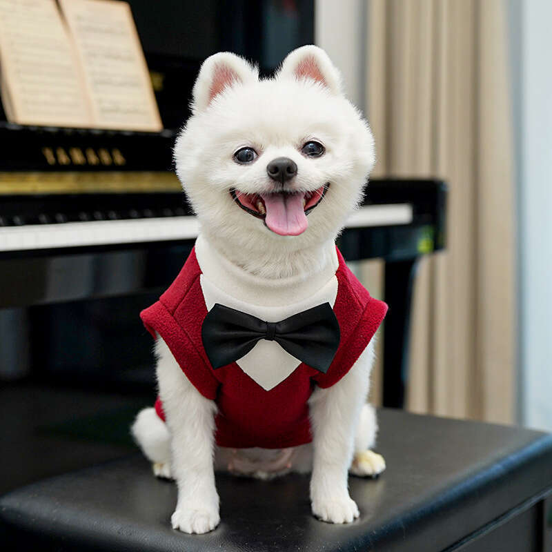 Famous brand Autumn Winter New Apparel Suit Pet Dress Cat Clothes Dog Supplies Cross Border Wholesale Teddy French Bulldog pupakaIK