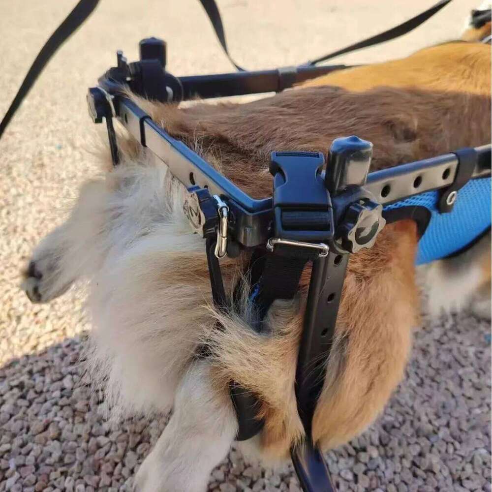 Pet Supplies Wheelchair Limb Paralysis Scooter Disabled Dog Hind Leg Assisted & Pet Rehabilitation Brace