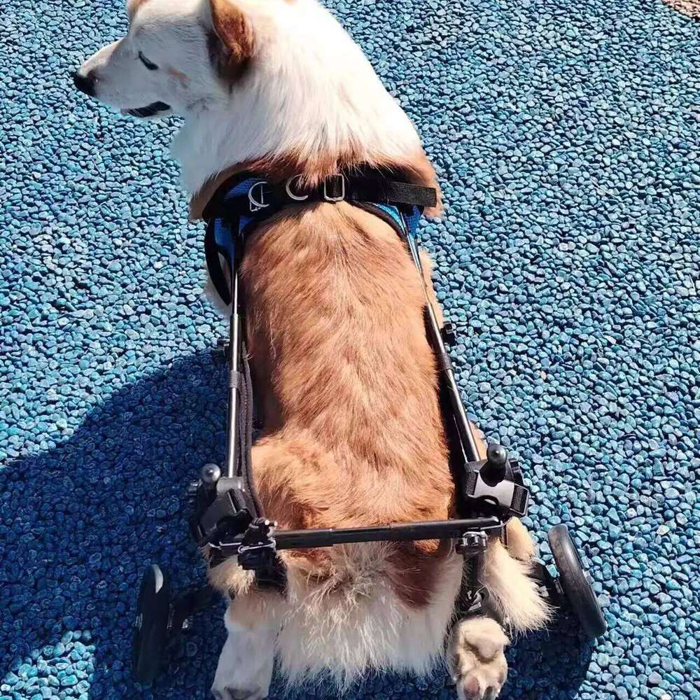 Pet Supplies Wheelchair Limb Paralysis Scooter Disabled Dog Hind Leg Assisted & Pet Rehabilitation Brace