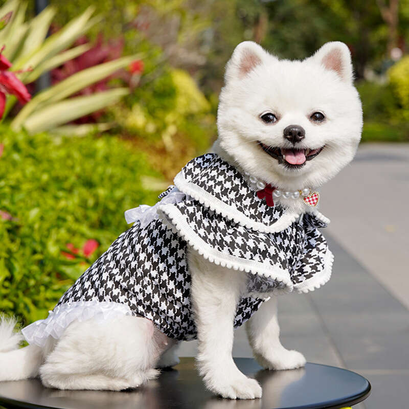 Famous brand Chanel Style Large Leash Dog Golden Retriever Flutter Sleeve Dress Teddy Pet Supplies Cat Clothes Apparel pupakaIK