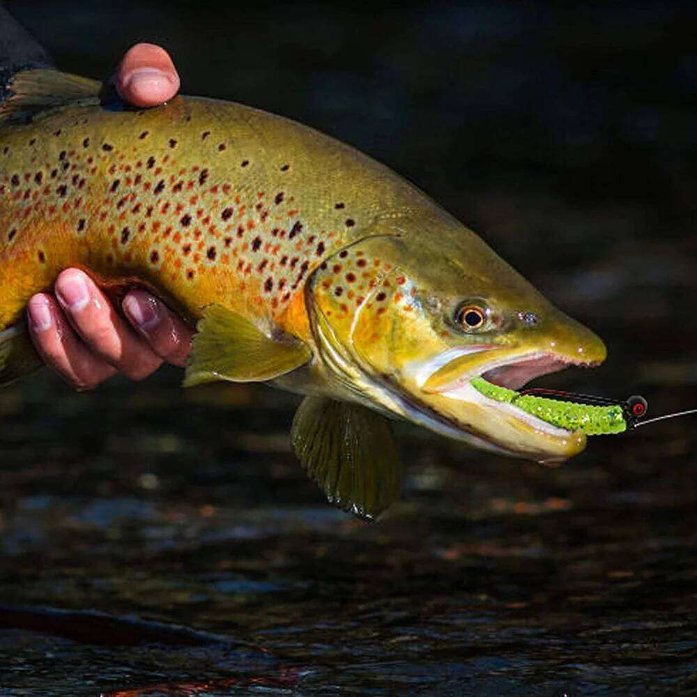 6Pcs Jig Head Shaky Football head Soft Worm Lure spring lock Weighted jig fishing Hooks for Bass Fishing 1/4 1/8 1/16oz Z260228