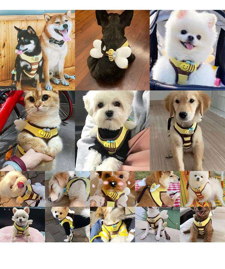 Pet Supplies Little Bee Cute Puppy & Vest Chest Harness Walking Leash Household Small Dog