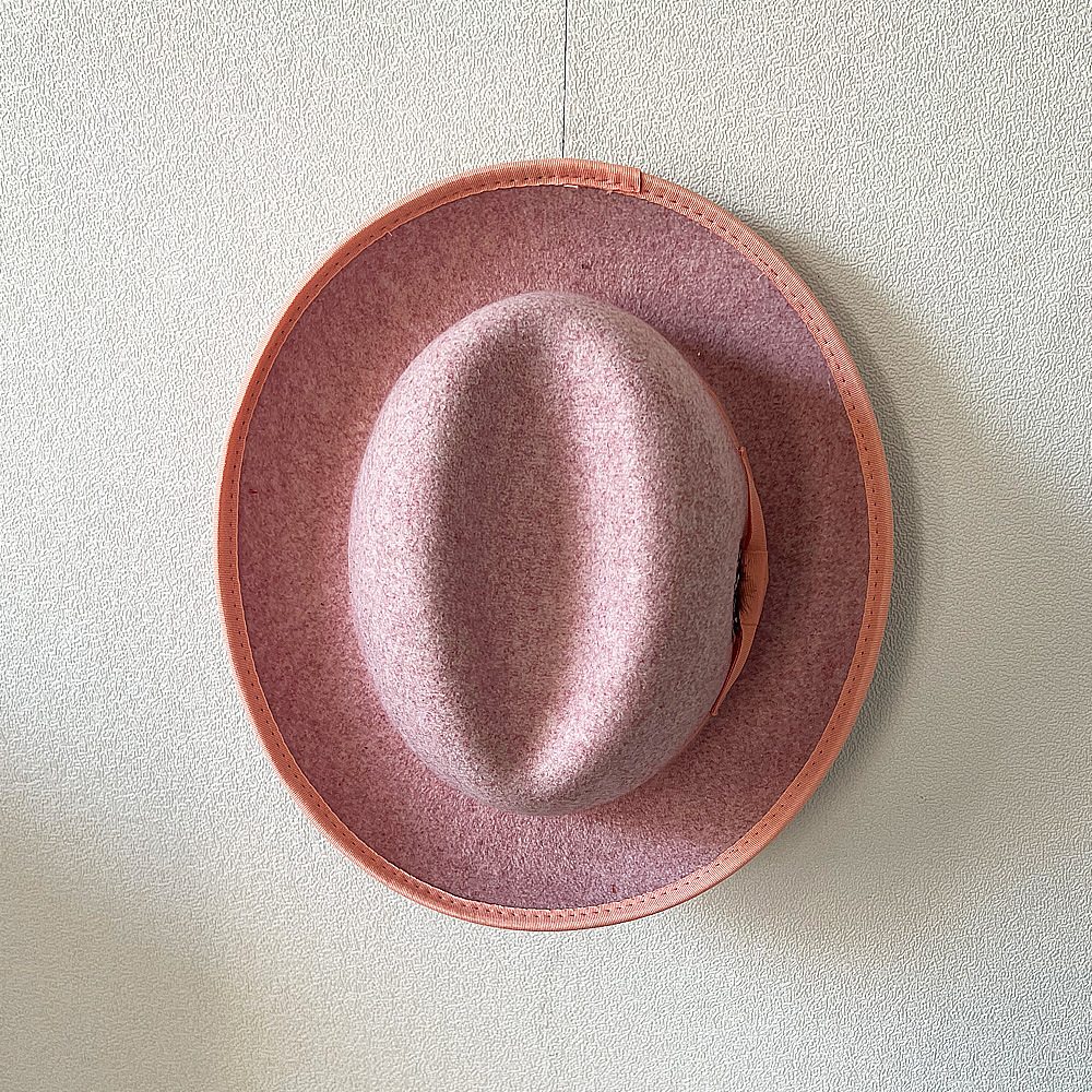 Fashion Wool Mens Feather Fedora Hat Winter Autumn Church Panama Wide Brown Retro Charm Jazz Hat 240919