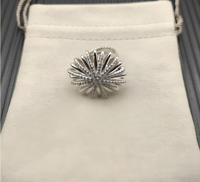 2026 New 925 Sterling Silver Christmas New Jewelry Retro Couple Trend Fashion Simple Spiral Design Crystal Ring for Men and Women To Wear