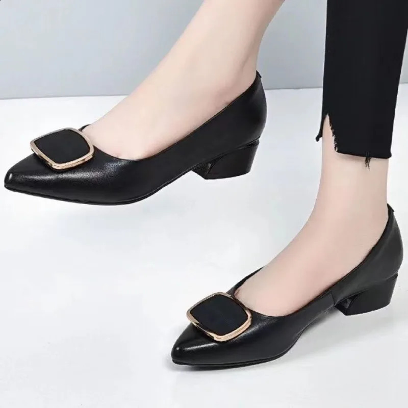Women Pointed Toe Square Heel Shoes Chunky Heels Casual Slip on Lady High Quality Comfort Party Wedding Summer Pumps 260625 - view 7