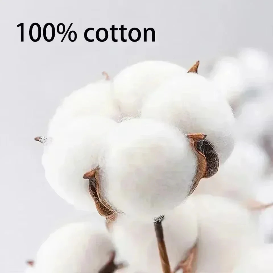 500/300g Heavy-duty White Pure Cotton T-shirt Thickened Threaded Round Neck Short Sleeves Three Needle Half Sleeve Tees 260605 - view 7