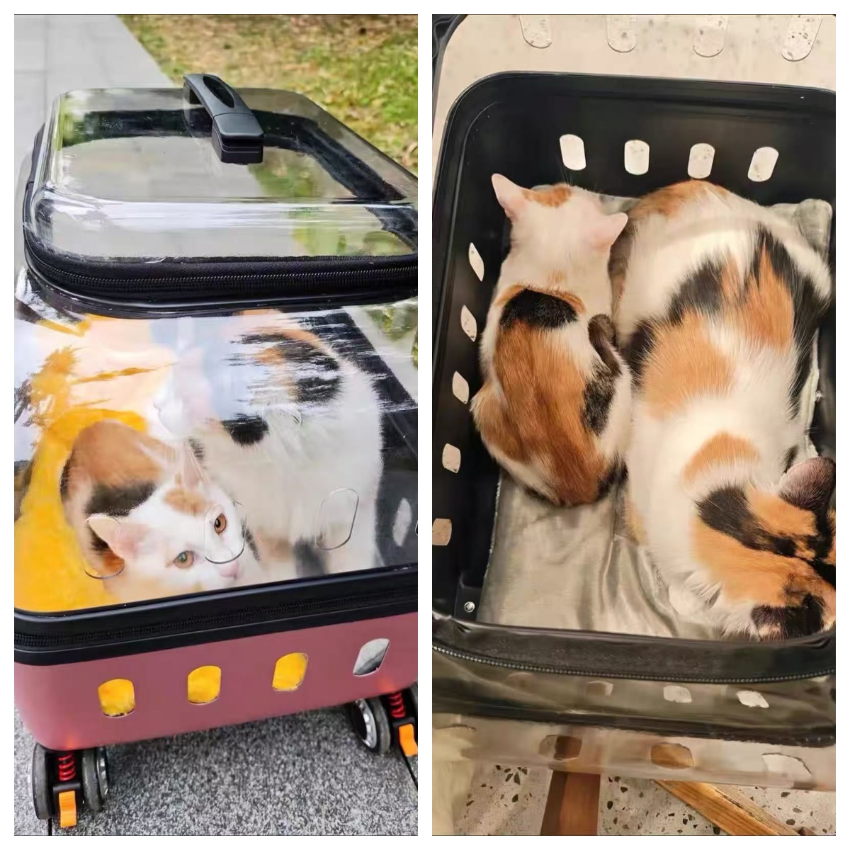 LBY Space Capsule Rolling Cat Carrier with Wheels, Telescopic Pull Rod Pet Trolley, Large Space Breathable Transparent Dog Travel Crate for Outdoor Wa