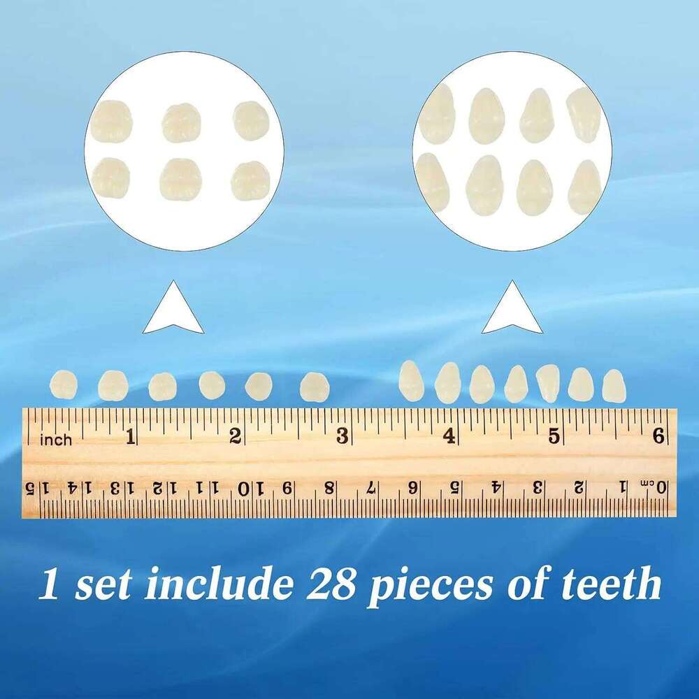 6 Sets Acrylic Fake Artificial Teeth Dental Tooth Prop Synthetic Resin Denture for Replacement DIY Halloween - view 4