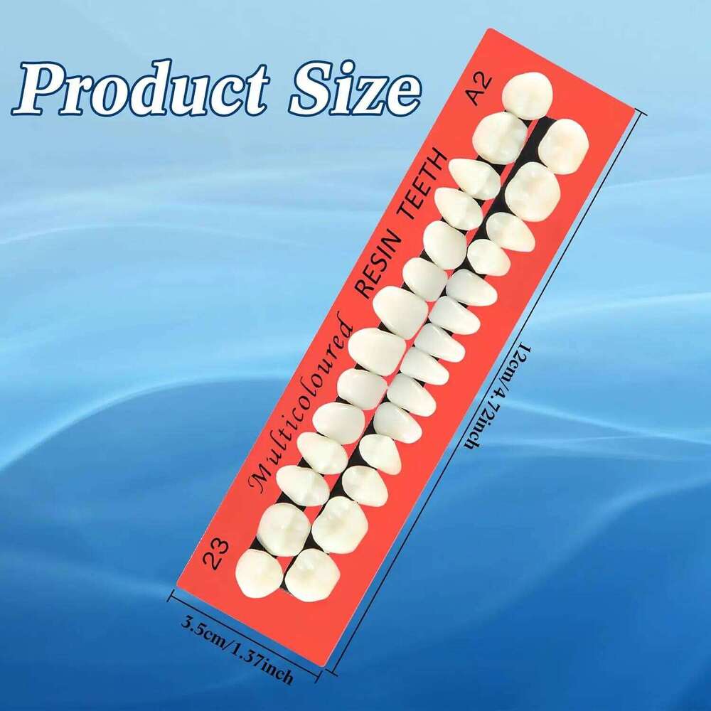 6 Sets Acrylic Fake Artificial Teeth Dental Tooth Prop Synthetic Resin Denture for Replacement DIY Halloween - view 5