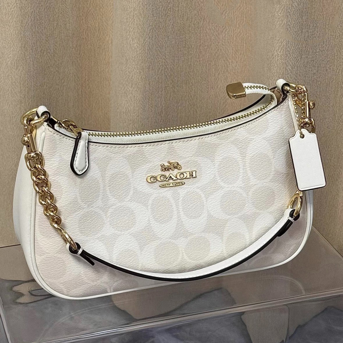Designer Bags Shoulder Bags Tote Bags Crossbody Bags Women's Wallets Handbags Teri Underarm Shoulder Bag Classic Print Hobo Bag with Detachable Evening Bag