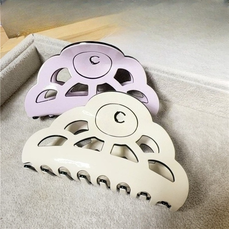 Acetic Acid Large Shark Clip Comb Designer Simple Hairpin Versatile and Stylish Hair Accessory Hairpin