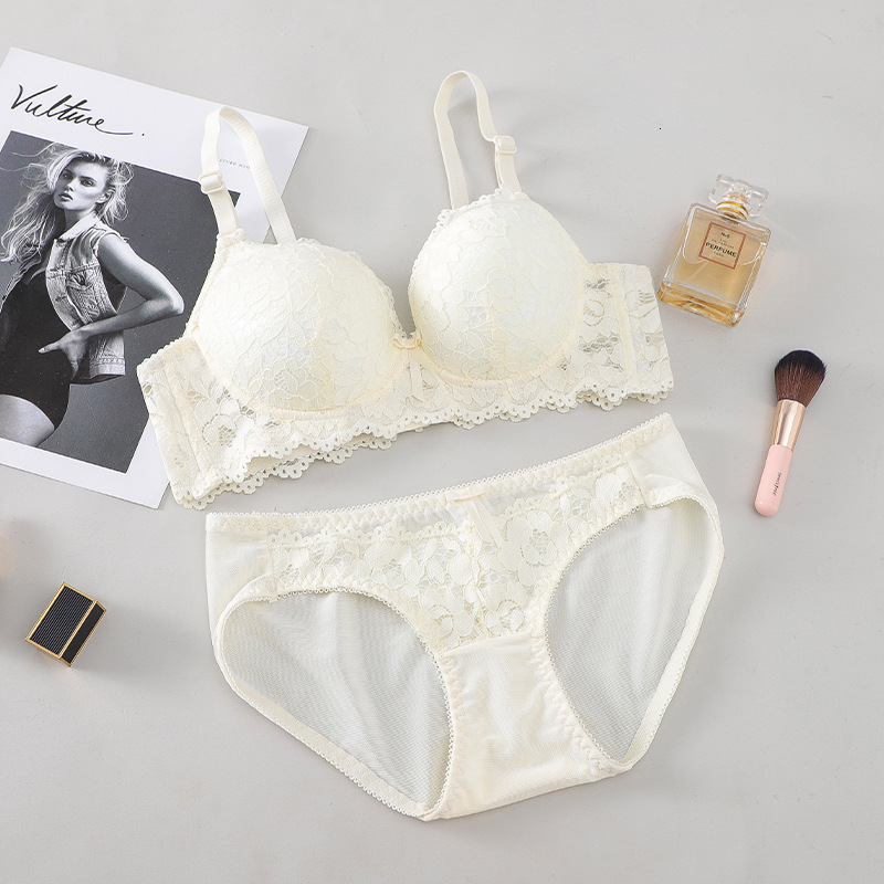 Lace Embroidery Bra Set Women Plus Size Push Up Underwear Set Bra and Panty Set 32 34 36 38 ABC Cup For Female 240812