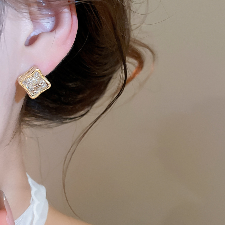 Light luxury high-end feel gold Zircon square mesh stud for women, niche design, fashionable and versatile, exquisite earrings - view 4