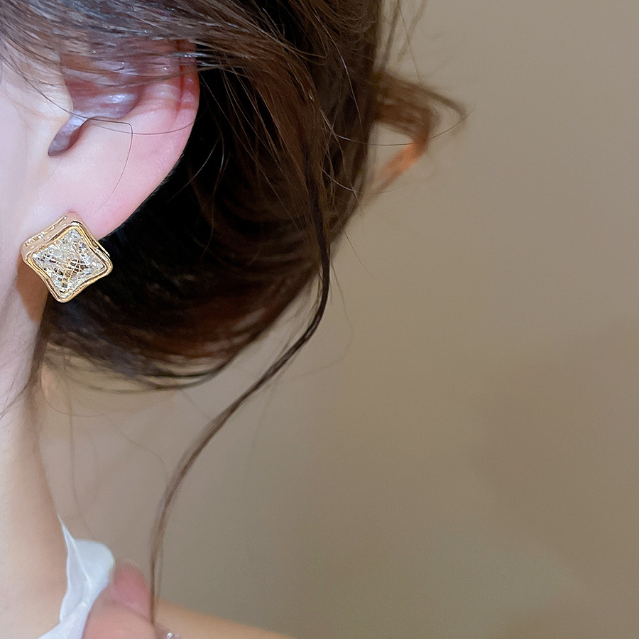 Light luxury high-end feel gold Zircon square mesh stud for women, niche design, fashionable and versatile, exquisite earrings - view 6