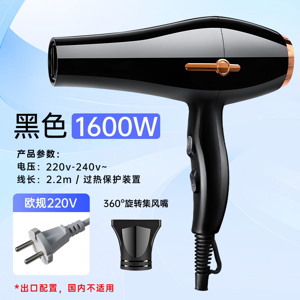 Hair Salon Dryer Powerful Hair Dryer Household Thermostatic Hair Dryer and Cold Air with Concentrator Nozzle 241018