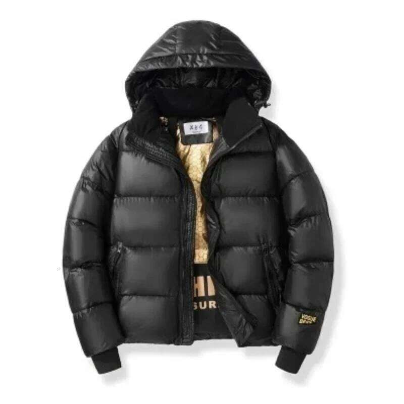 Thick Warm Outerwear Parkas Loose Casual Hooded Puffer Autumn Winter Versatile High-quality Padded Jacket for Men J260626 - view 4