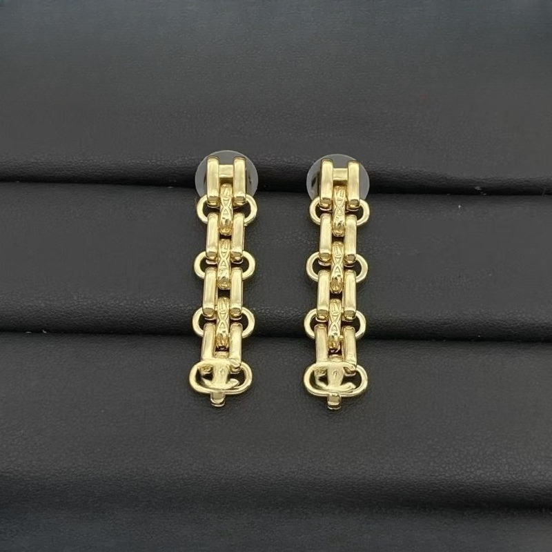 Luxury Casual Jewelry Stud Earrings European-style Earrings Personalized and Versatile Pendant Earrings and Ear Rings