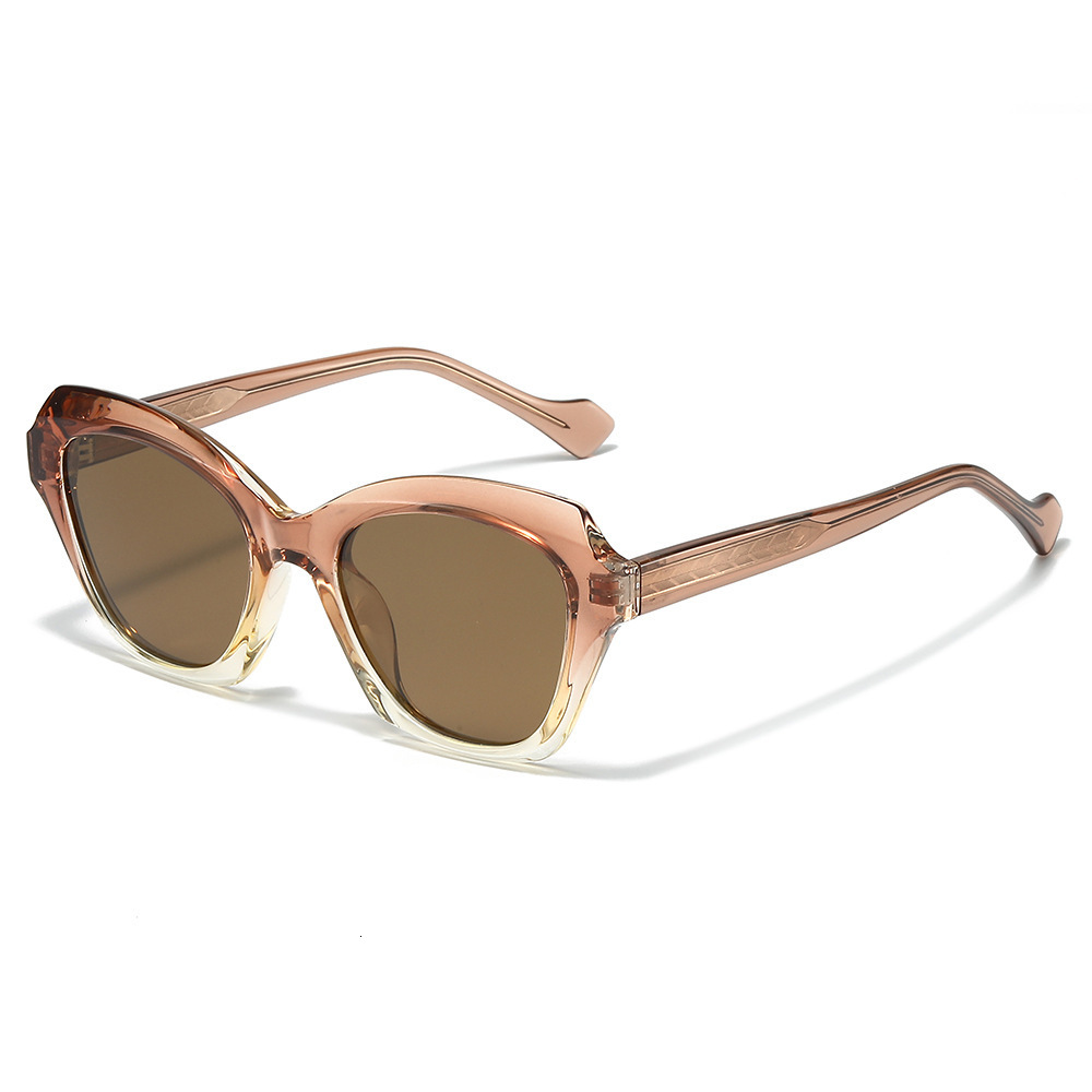 New Large-Frame Cat-Eye Polarized Premium Sunglasses, European And American Fashion, Pin-Inserted Acetate Legs, TR Frame Sunglasses - view 4