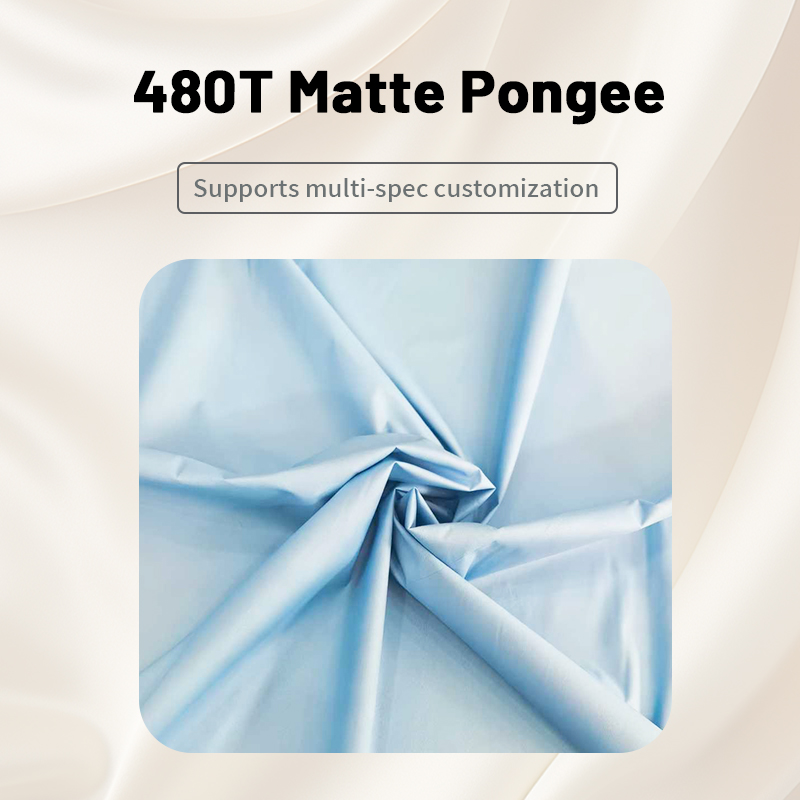 480T Matte Spring Yafang High Density Polyester Anti Fleece Fabric Clothing Home Textiles Outdoor Functional Fabric - view 1