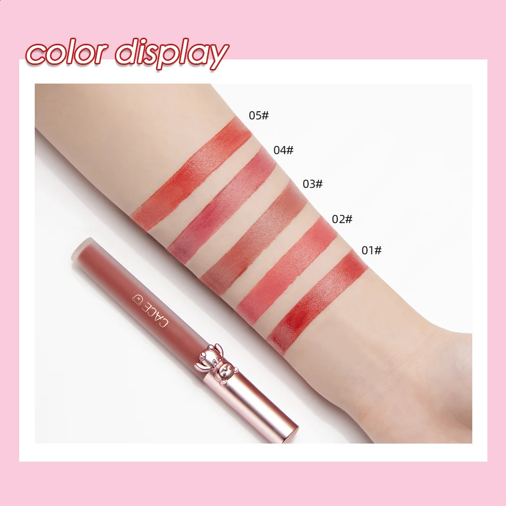 CACE Lipgloss Makeup liquid Lipstick Makeup Matte Long Lasting Waterproof Velvet Liquid Lip Stick Sexy Fashion Lips Make Up 260626 - view 6