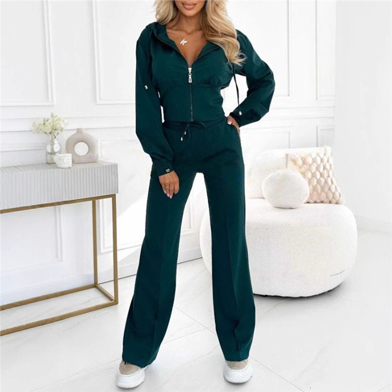 Cross-Border European American Foreign Trade New Autumn and Winter Hooded Zipper Tight Top Wide-Leg Pants Two-Piece Set WONST - view 4
