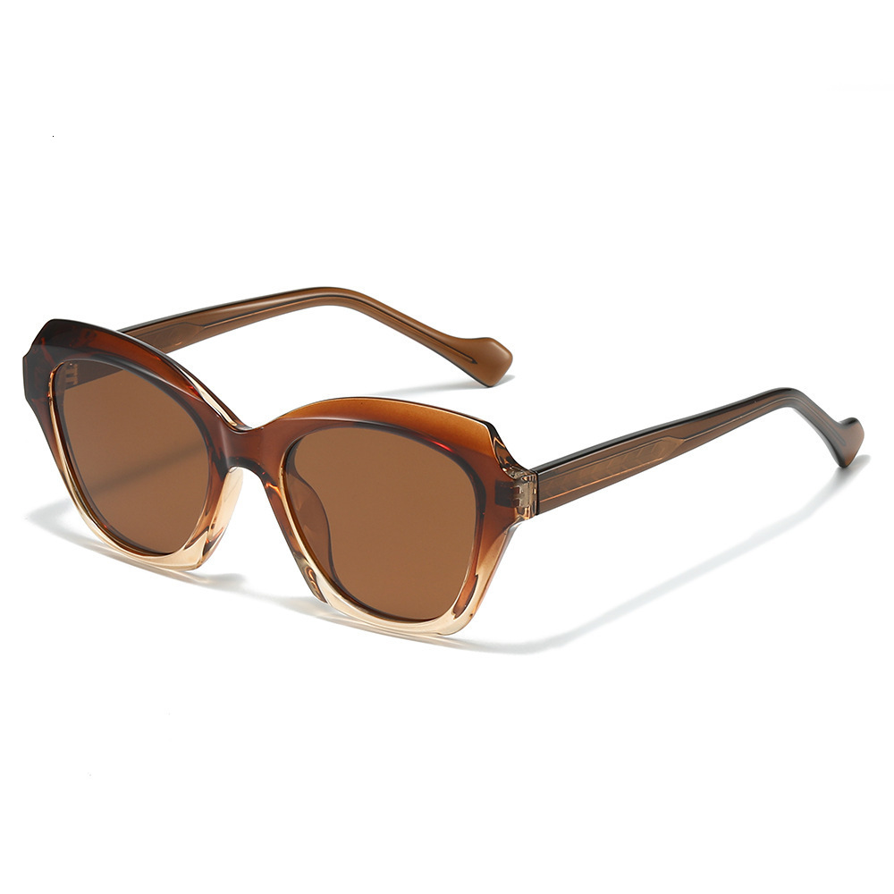 New Large-Frame Cat-Eye Polarized Premium Sunglasses, European And American Fashion, Pin-Inserted Acetate Legs, TR Frame Sunglasses - view 3
