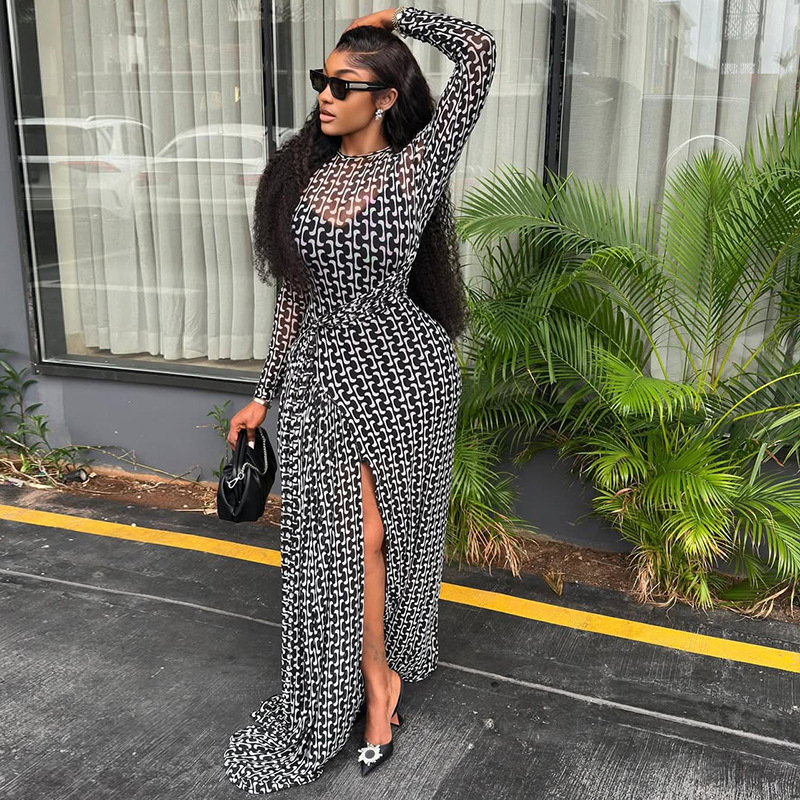 Womens Commuter Maxi Dress Womens Printed High Neck Long Sleeve Waist Cinch Semi Transparent Slit Long Gown For Women Daily Office Dinner Vacation Out