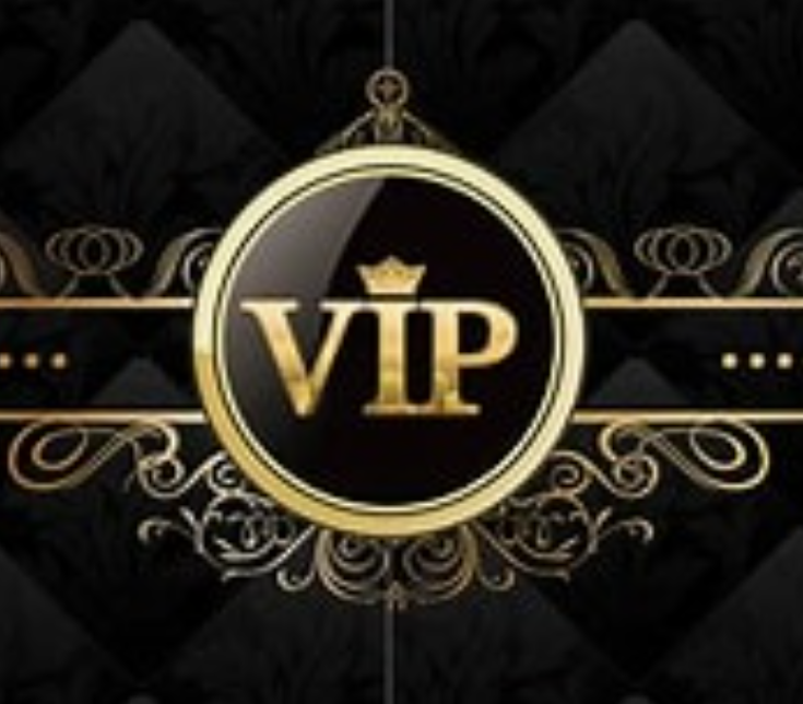 VIP Edition: Bespoke Luxury bag with Unique Design