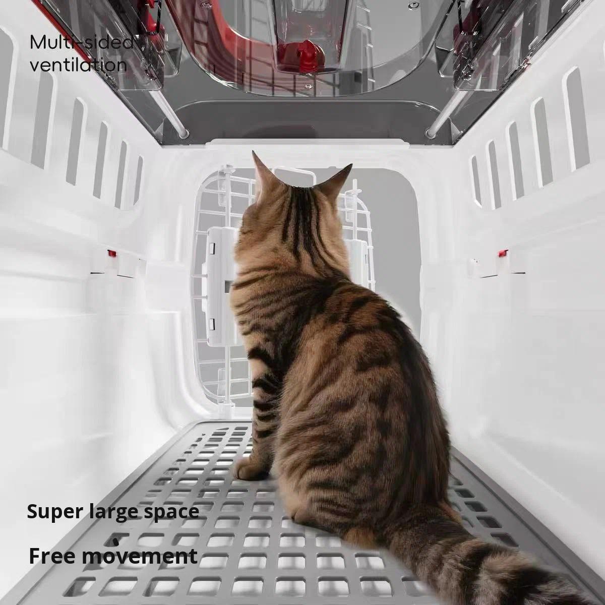LBY Large Pet Travel Carrier with Top Window, Hard Sided Cat Dog Crate, Airline Approved Portable Pet Kennel for Small Medium Pets Vet Trip