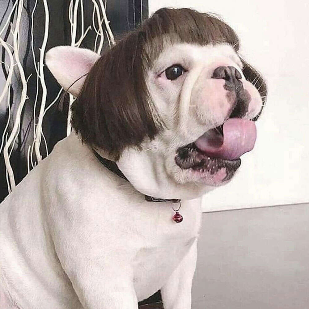 Costumes Funny Dog Cat Cosplay Wig Pet Decorations