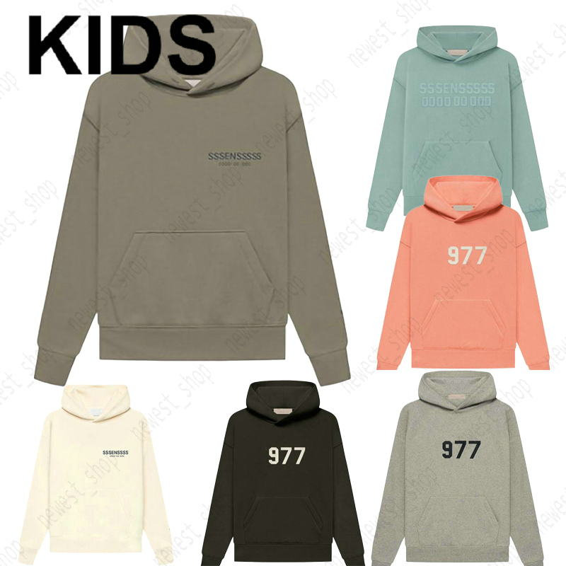 kids boys girls hoodies classic silicon letter oversize loose hooded sweatshirt PULLOVER children skateboard pink gray baseball cotton Clothing 1977 hoody