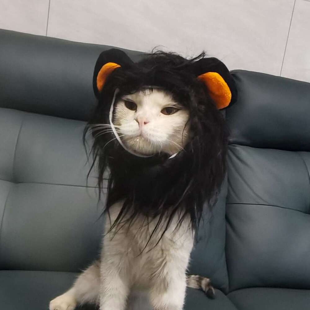 New Funny Pets Clothes Cap Cute Cat Wig Lion Mane Costume Cosplay Kitten Dog Hat With Ears Fancy Party Supplies
