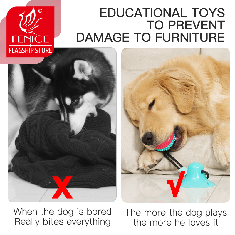 Fenice Dog Toys Pet Puppy Interactive Suction Cup Push TPR Ball Toys Molar Bite Toy Elastic Ropes Dog Tooth Cleaning Chewing