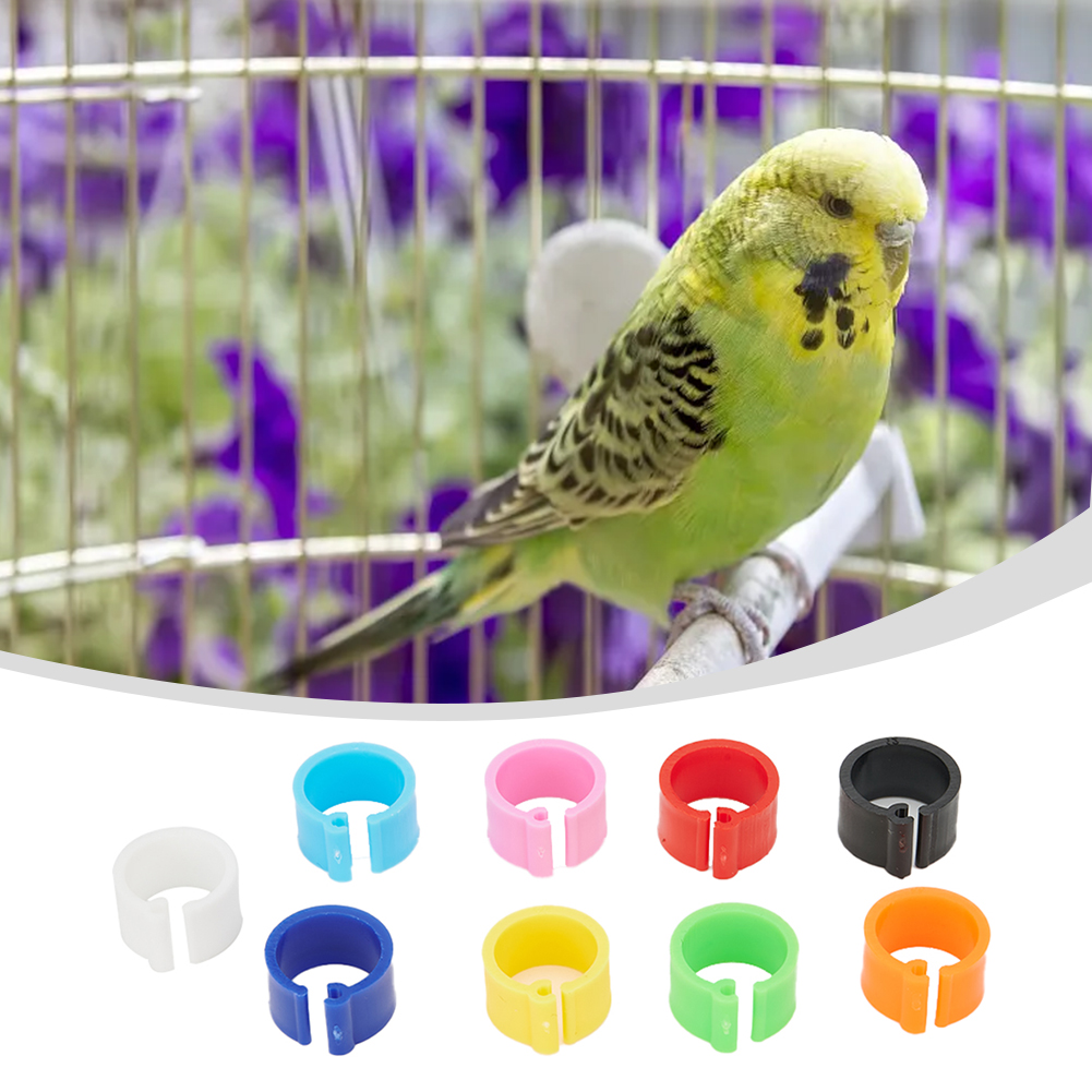 Plastic Re-use 7mm /0.27 Inch 10 colors Chicks Rings Poultry Leg Band Bird Pigeon Parrot 100Pcs Clip Useful Newest