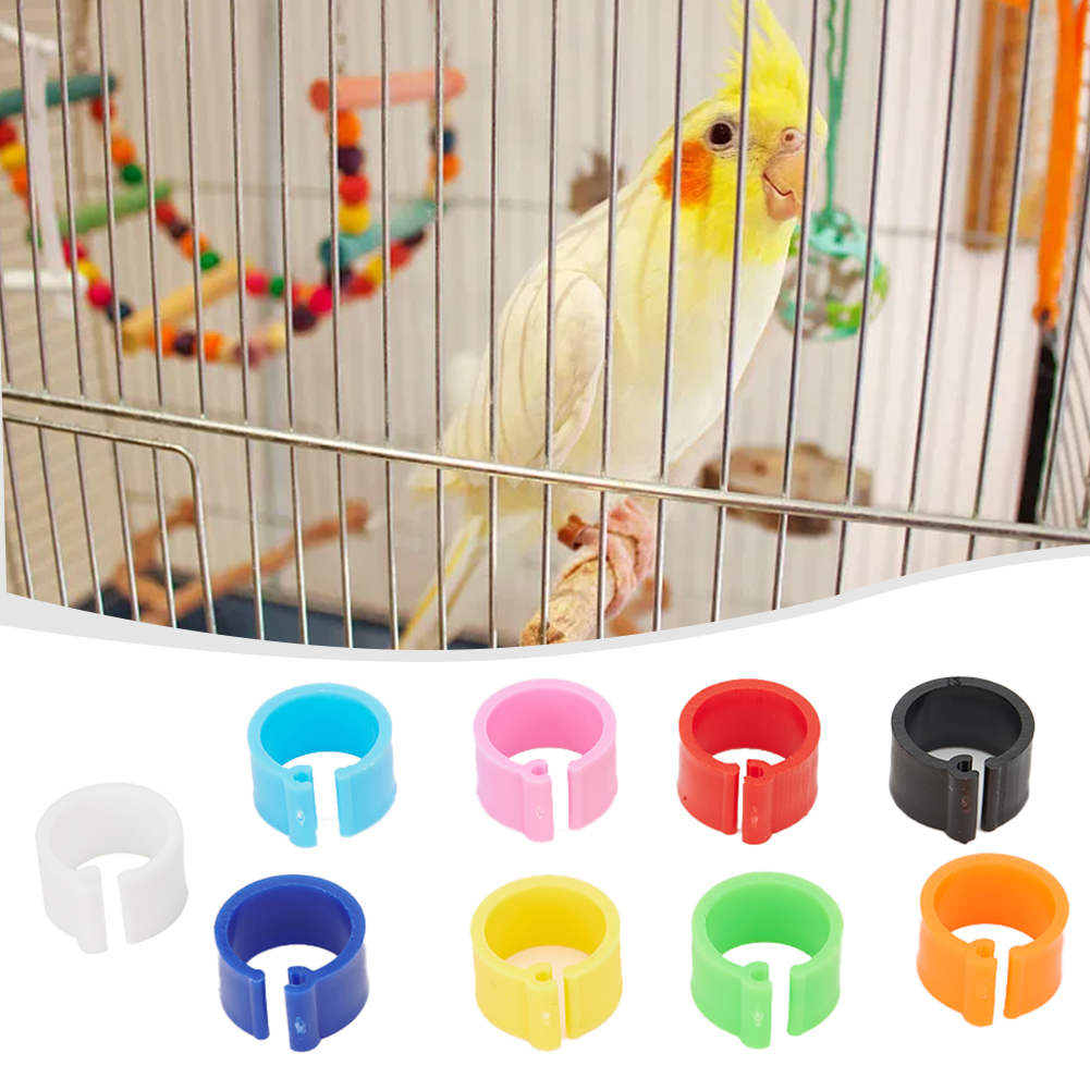 Plastic Re-use 7mm /0.27 Inch 10 colors Chicks Rings Poultry Leg Band Bird Pigeon Parrot 100Pcs Clip Useful Newest