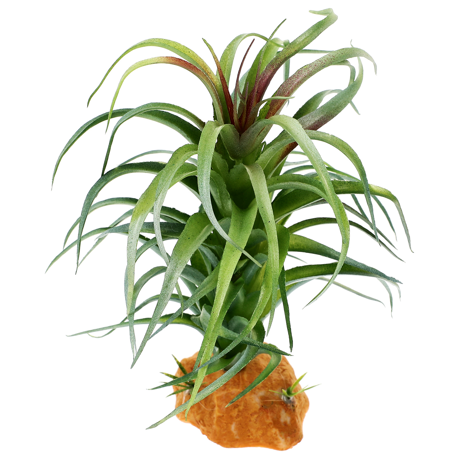 Artificial Reptile Plants Reptile Terrarium Decor Bearded Dragon Tank Accessories Habitat Decoration