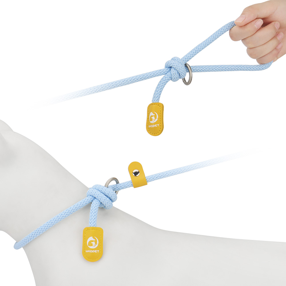 Dog Leash Rope Slip Lead,Durable Nylon Puppy Leash-Heavy Duty Colorful Adjustable Training Pet Leash for Small Medium Large Dogs