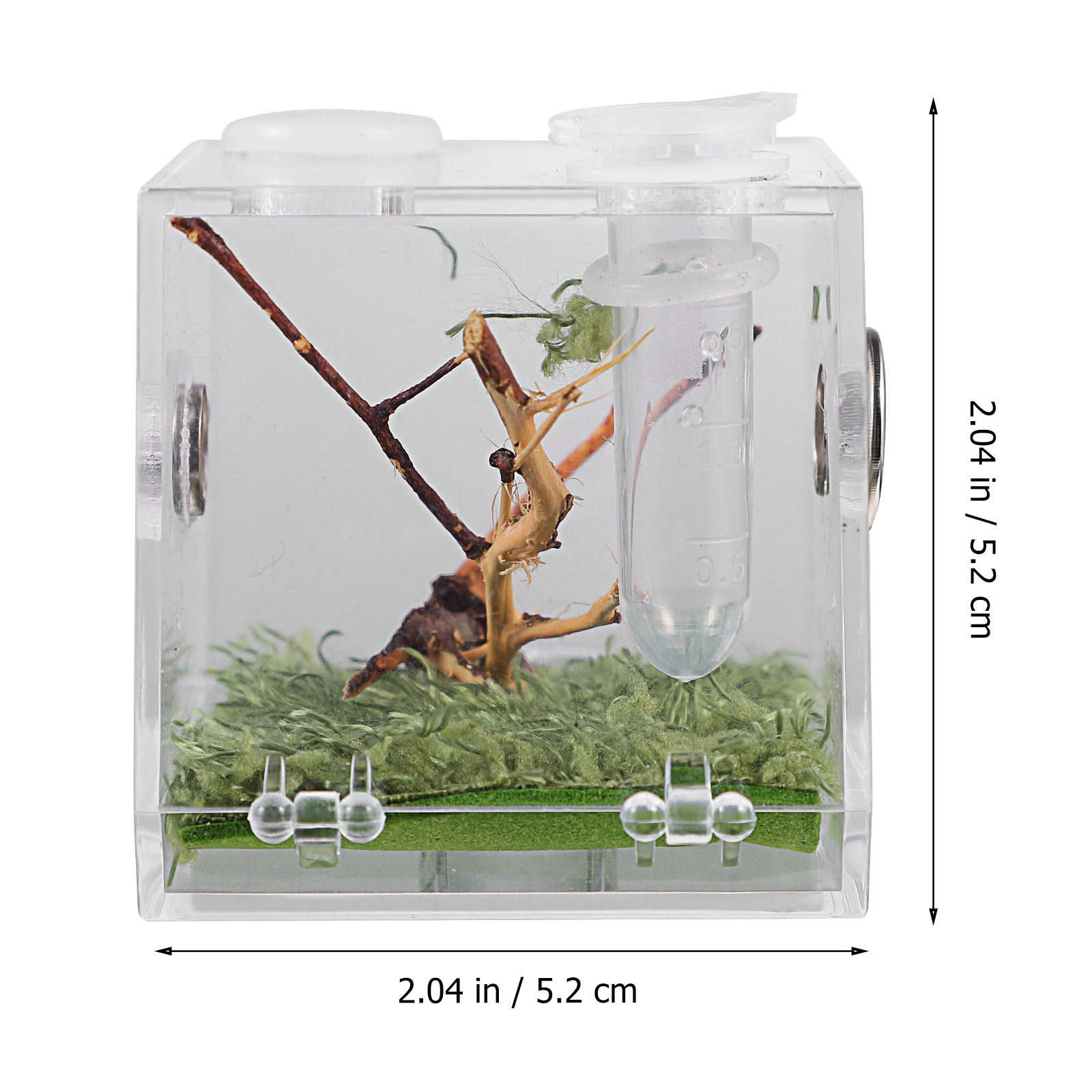Small Reptile Breeding Box with Dropper and Forceps Pet Terrarium Transparent Acrylic Cage Insect Jumping Spider Feeding Box