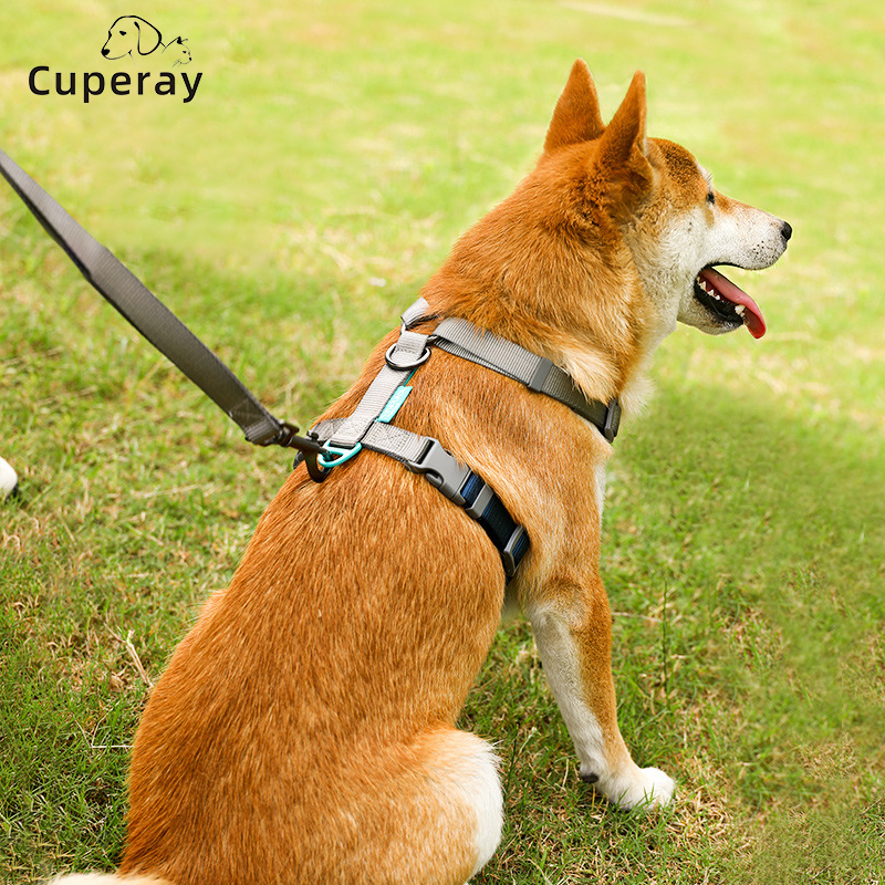 Pet Harness and Leashes Adjustable Dog Harness Medium & Large Dog Walking Leash Explosion-proof Punching Dog Chain Pet Supplies